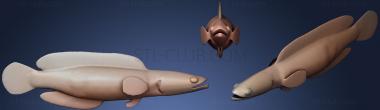 3D model Sneakhead Fish (STL)